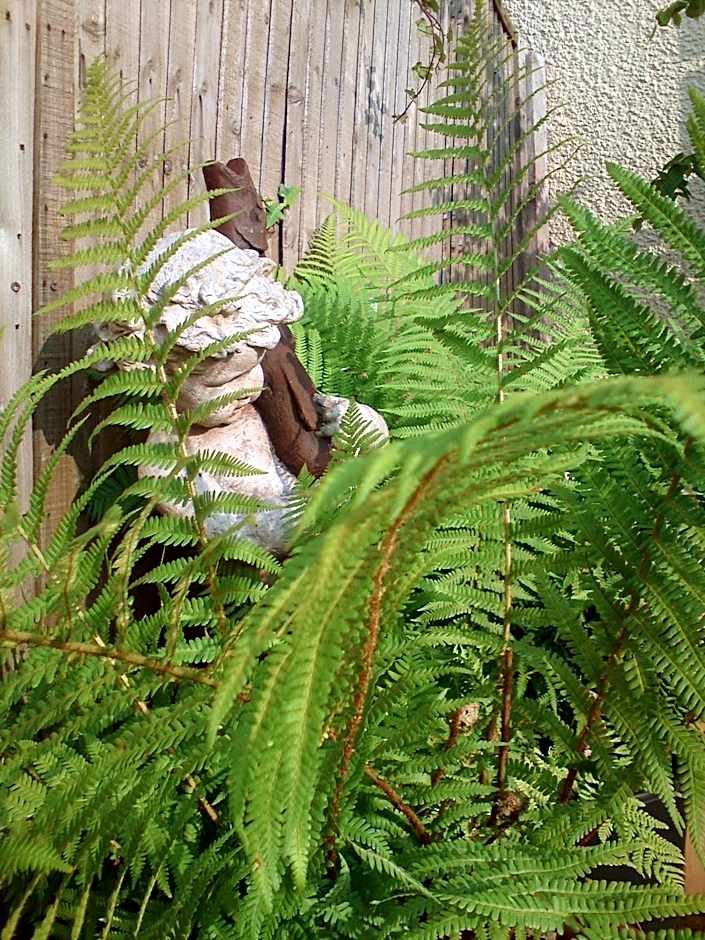 Min y Don Guest House