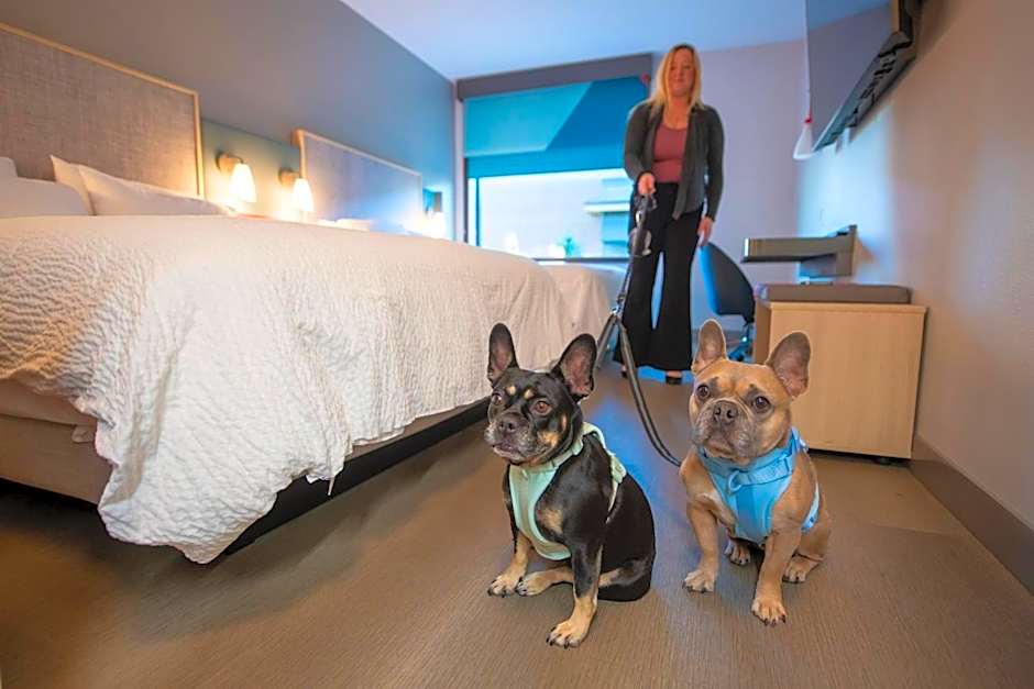 Avid Hotels Lake Delton Dells Area By IHG