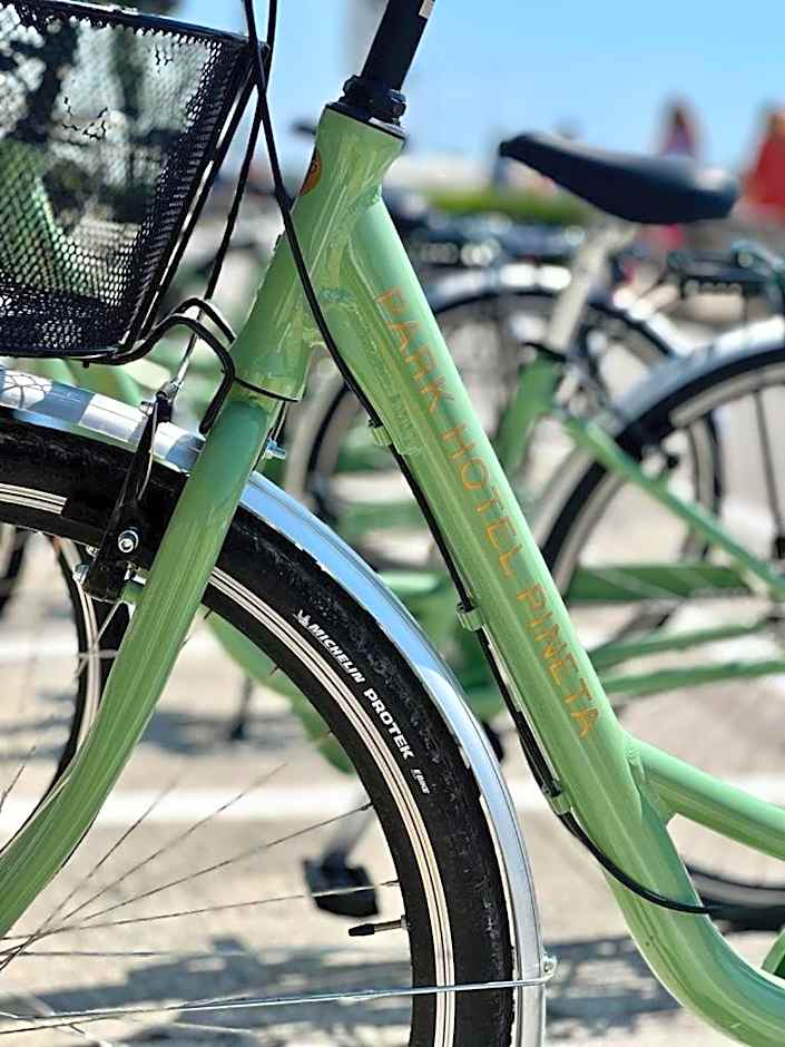 Park Hotel Pineta Boutique Hotel