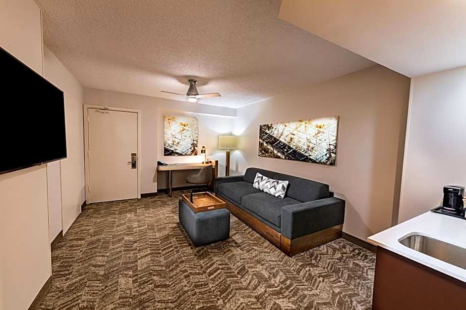 SpringHill Suites by Marriott Houston Medical Center/NRG Park