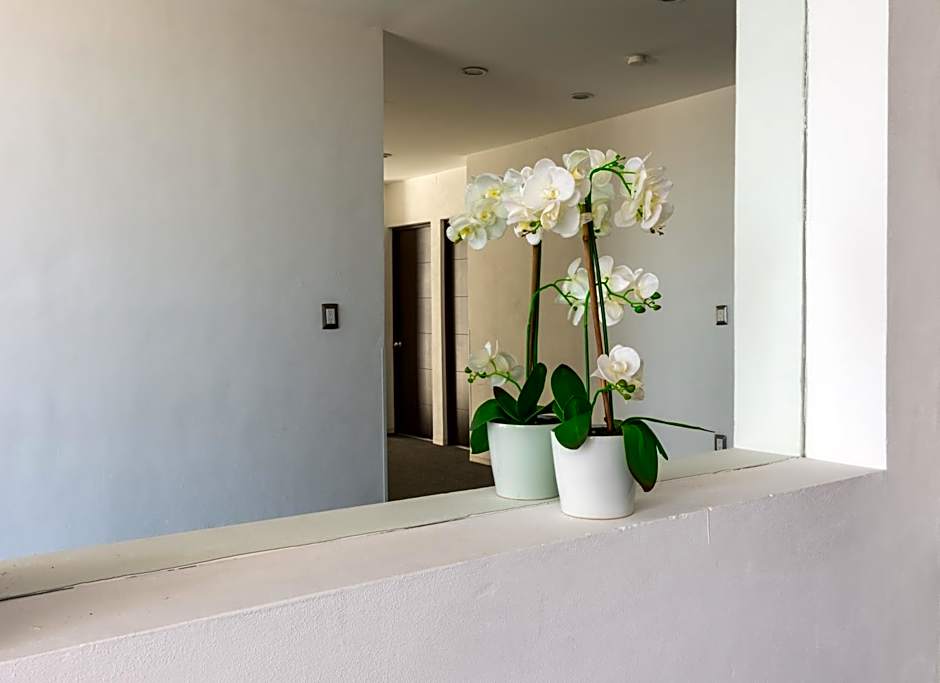 Hotel México Inn Express