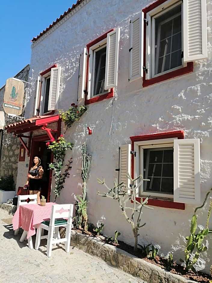 kaktushan otel