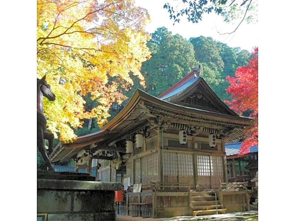 Pure Hotel - Vacation STAY 44187v