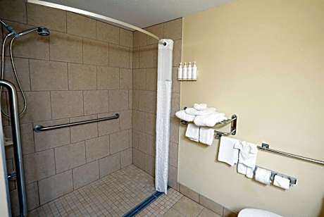 2 Queen Beds, Mobility Accessible Suite, Roll-In Shower, Non-Smoking