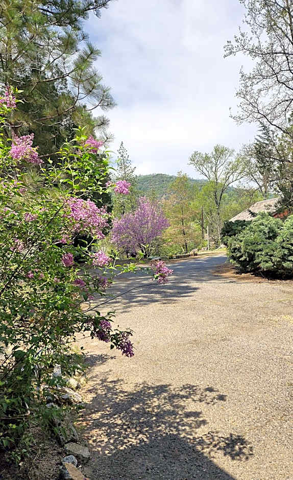 Yosemite Mountain Retreat