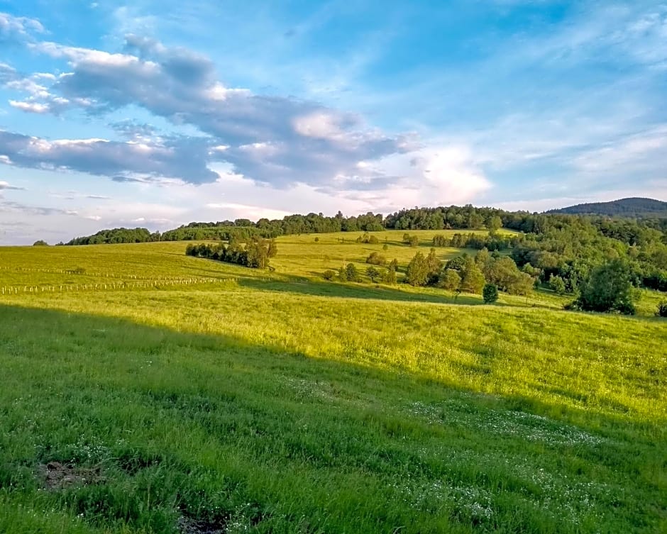 Wierzbowy Jar - Natura Spokój Sauna Kominek Karkonosze