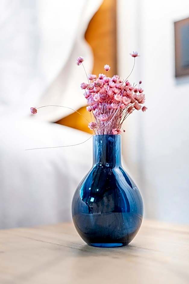 Hotel Mas la Ferreria