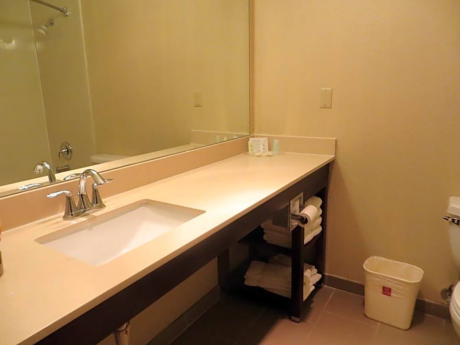 Comfort Suites New Braunfels - San Antonio Area