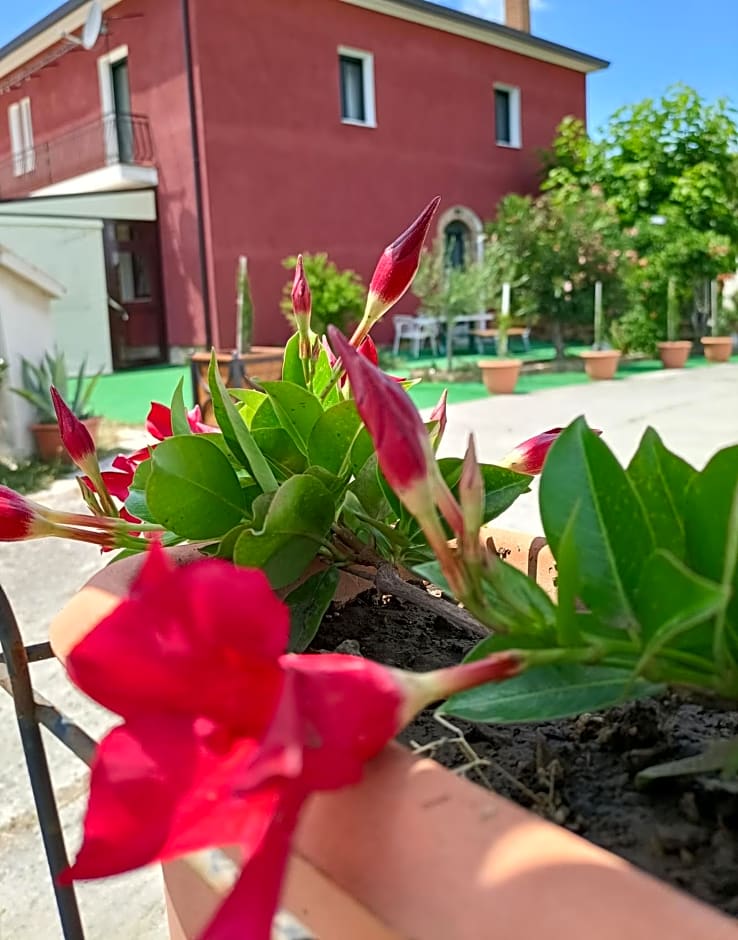 Agriturismo Macchia dei briganti - b&b