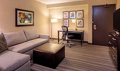 One-Bedroom King Suite