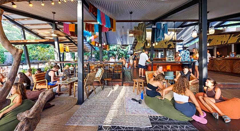 Koala Park by Bounce