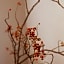 Rinn Tofukuji Kamogawa