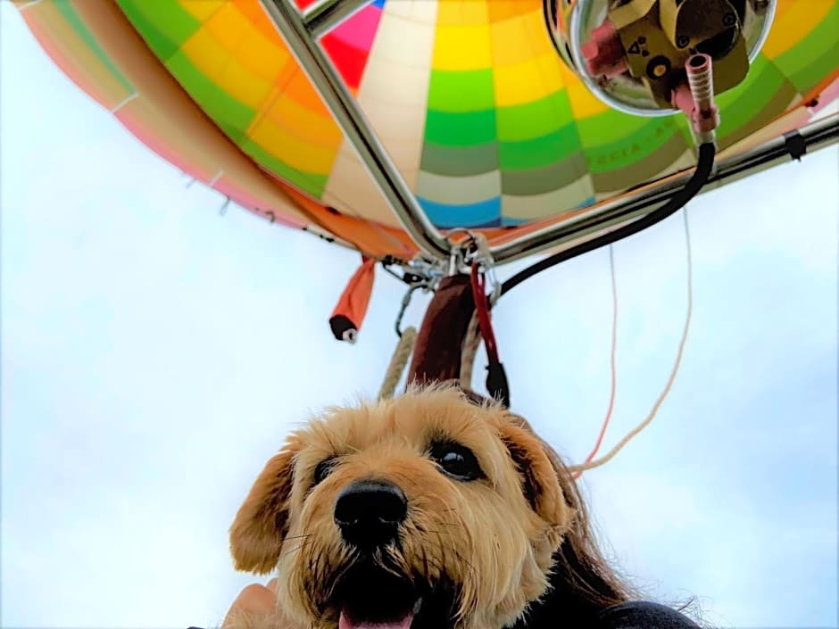 Hakuba Powder Mountain