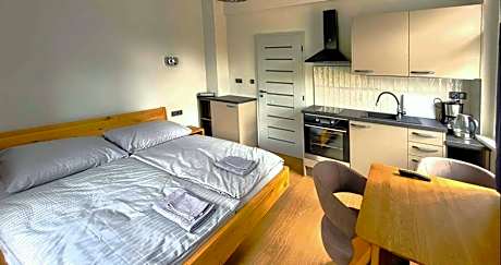 Superior One-Bedroom Apartment - Annex