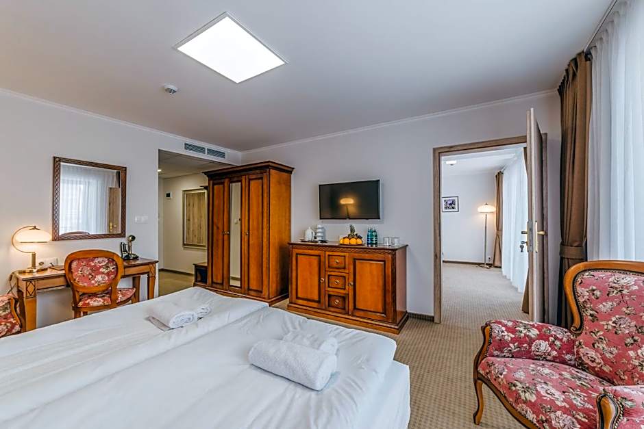 Hotel Paryski Art & Business Zakopane - Basen Jacuzzi Sauna Małpi Gaj