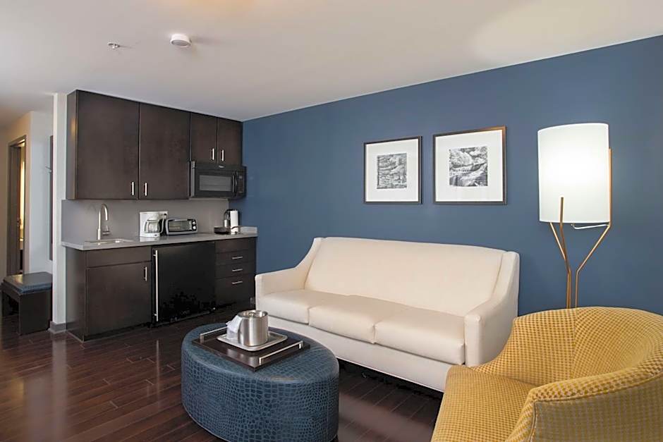 The Mosey Buffalo Williamsville Tapestry Collection Hilton