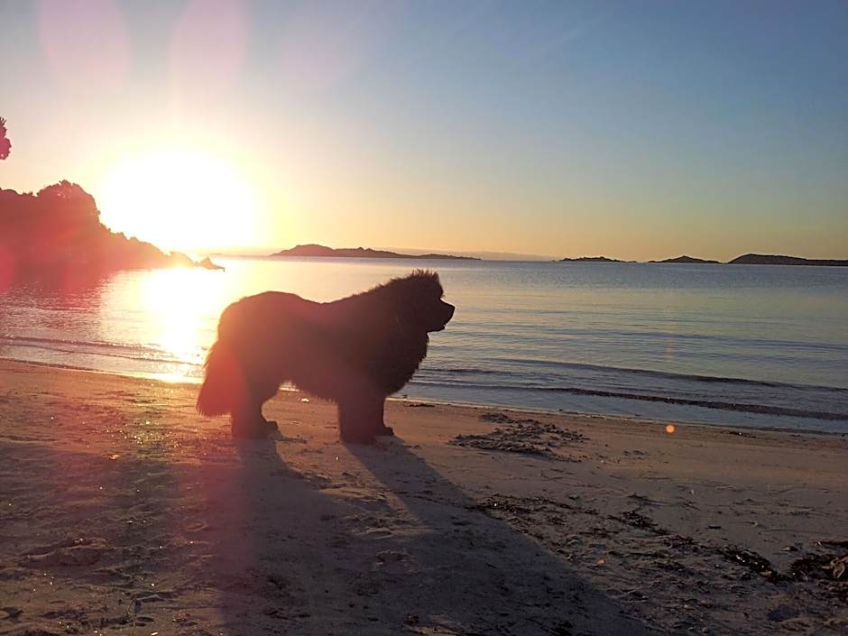 Residenza Capriccioli