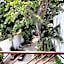 Casa Italia Luxury Guest House - Adults Only