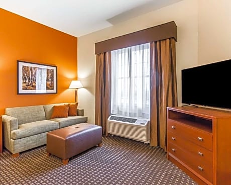 1 King Bed Efficiency Suite Nonsmoking