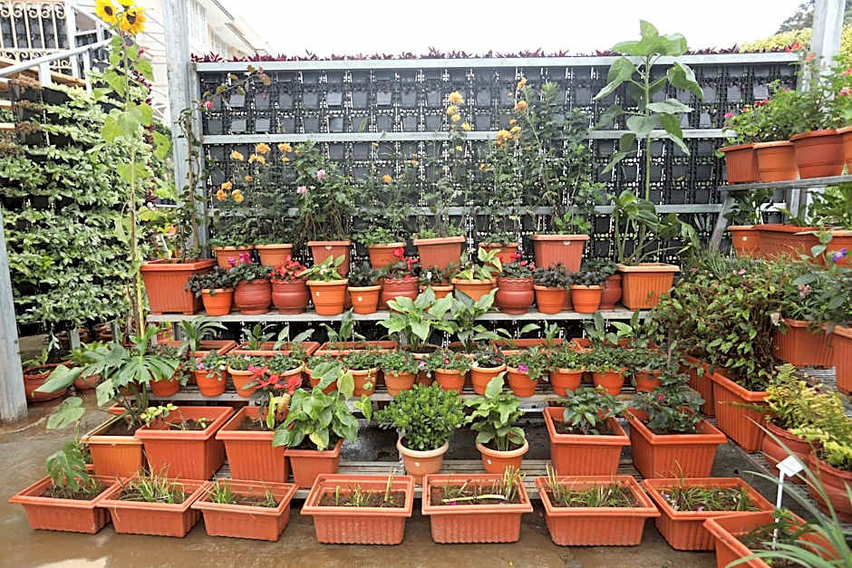 Delightz Inn Resorts