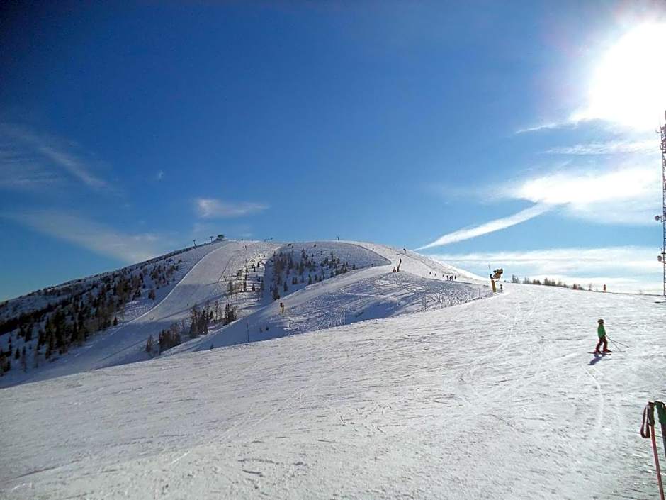 Albergo Chalet Abete Rosso