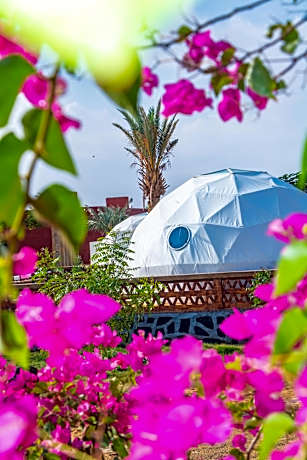 B&W SAHARA SKY CAMP