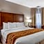 Comfort Inn Syosset-Long Island