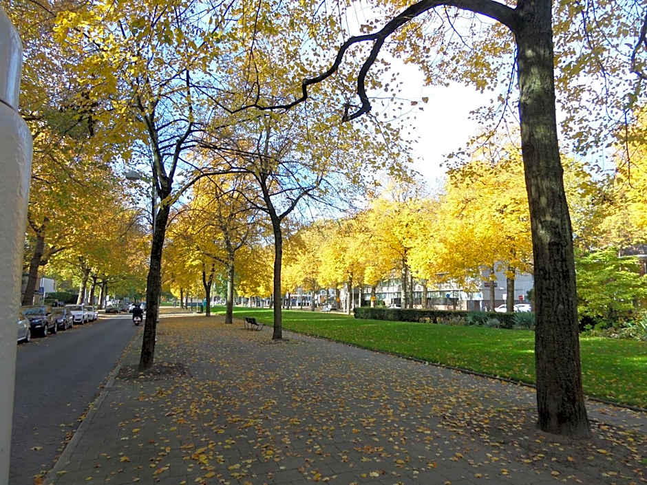 Apollofirst Boutique Hotel