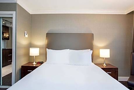 Studio Suite, 1 Queen Bed, Kitchenette