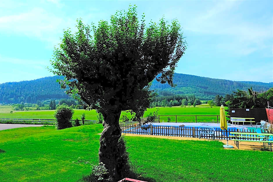 B und B Titisee Hotel Sonnenmatte nahe Badeparadies