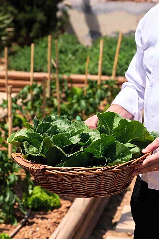 TUI Magic Life Candia Maris - Adults Only