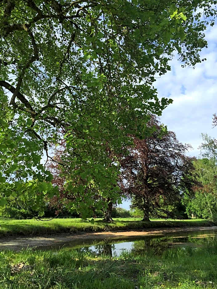 Chateau le Quesnoy