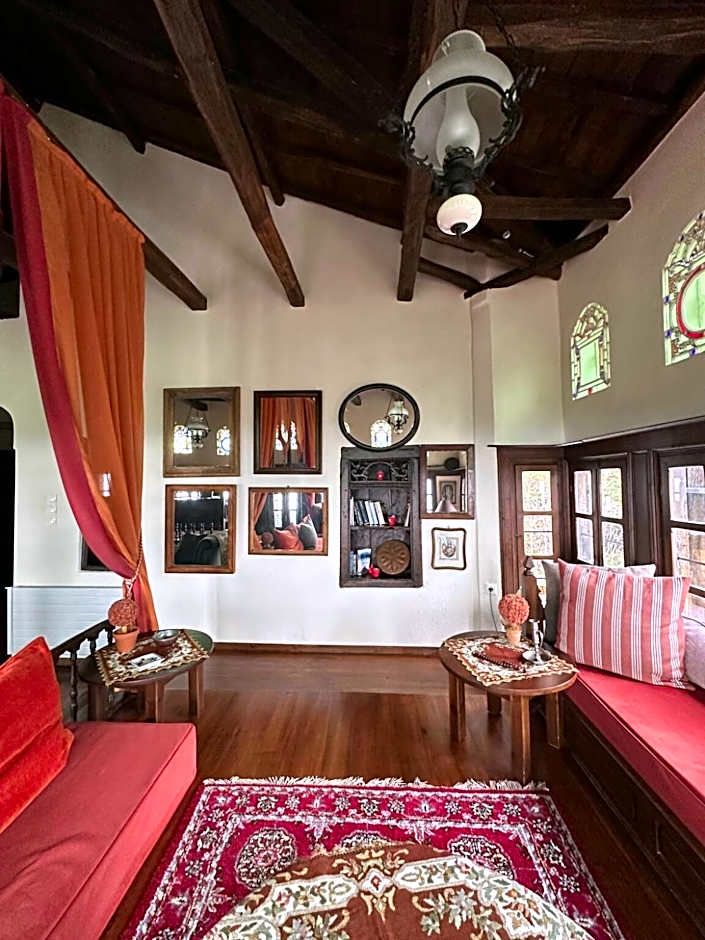 Santikos Mansion, Santikos Collection