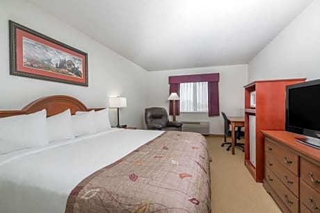 1 King Bed Non-Smoking