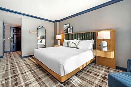 Classic ADA Deluxe Room - 1 King Bed with Roll In Shower