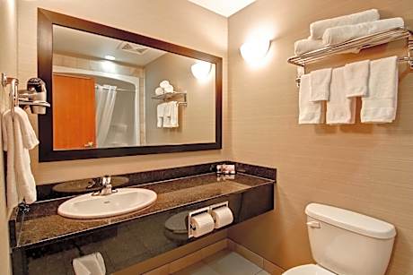 Executive King Suite with Sofa Bed