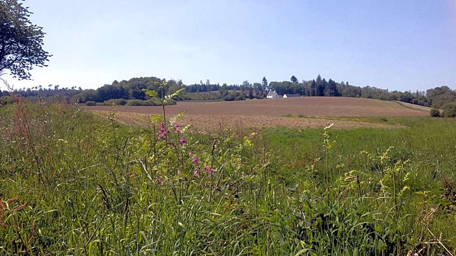 Le gîte de l'Araucaria