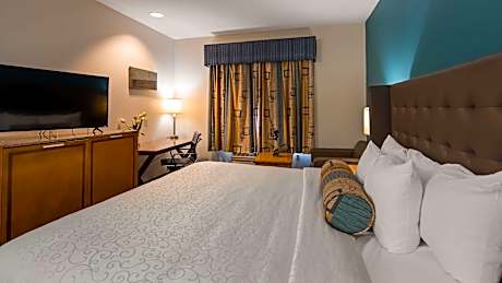 1 King Mobility Accessible Roll In Shower Desk Microwave Fridge Wi-Fi NSMK Full Breakfast