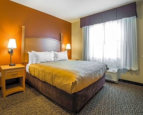 1 King Bed, 1 Room Suite, Kitchen, Nonsmoking