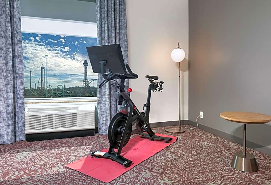 Hilton Garden Inn Dallas/Arlington