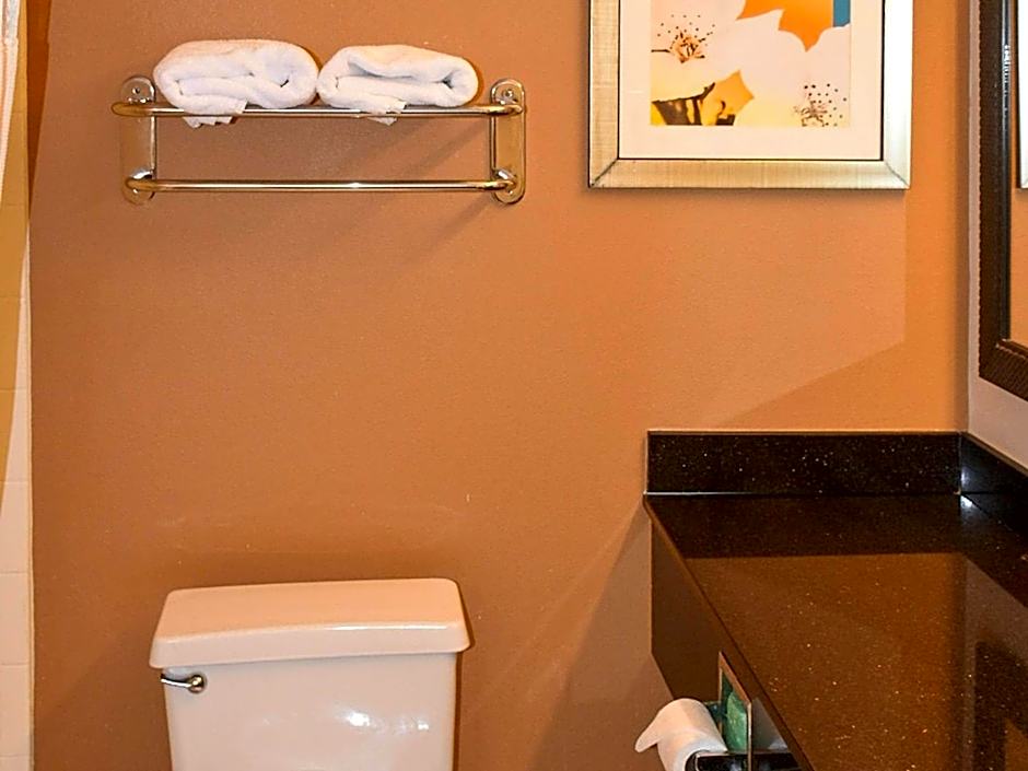 Comfort Inn & Suites Texas City I-45