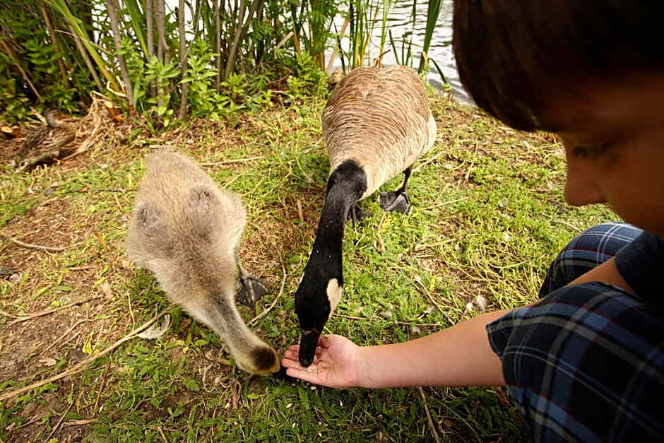 Holiday Inn Saskatoon Downtown By IHG