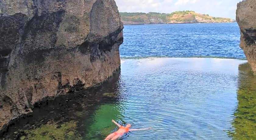 D transit RedPartner