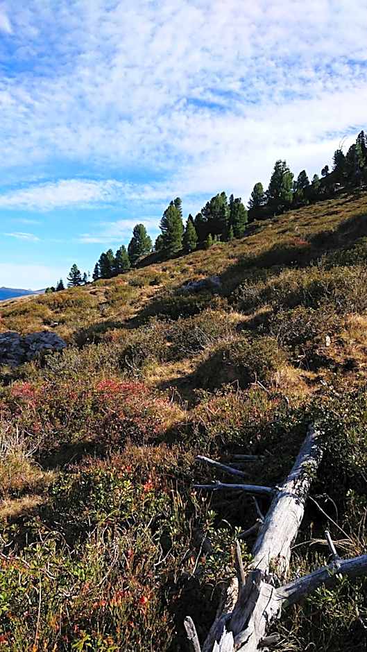Alpenherz Hotel Garni