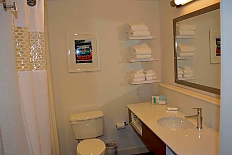 1 KING MOBILITY ACCESS TUB SUITE NONSMOKING
