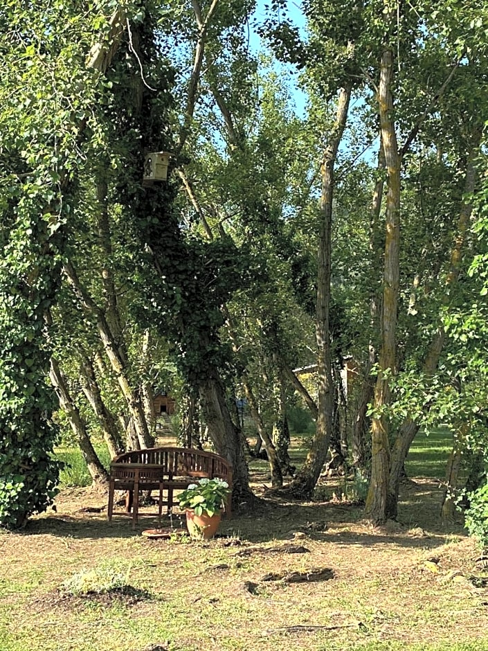 Le Parc - Suite climatisée