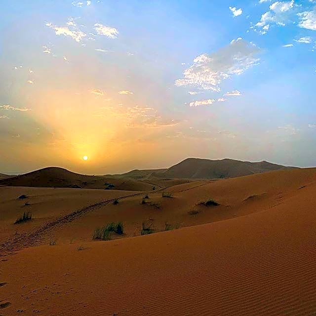 Camp Sahara Majestic