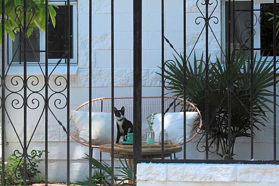 Casa Palmita