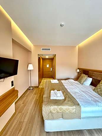 Deluxe Double or Twin Room with City View