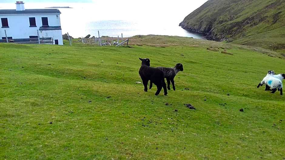 Achill West Coast House